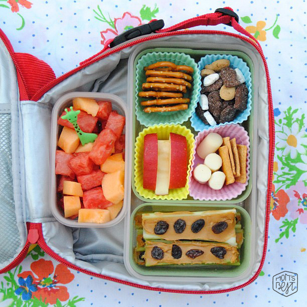 Bento Lunch Box Style
